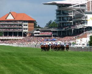 York Racecourse